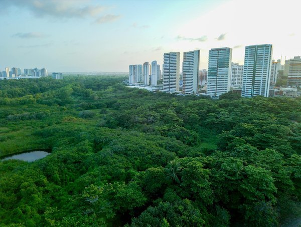 Les 10 jeux de cartes incontournables pour des duels à deux joueurs