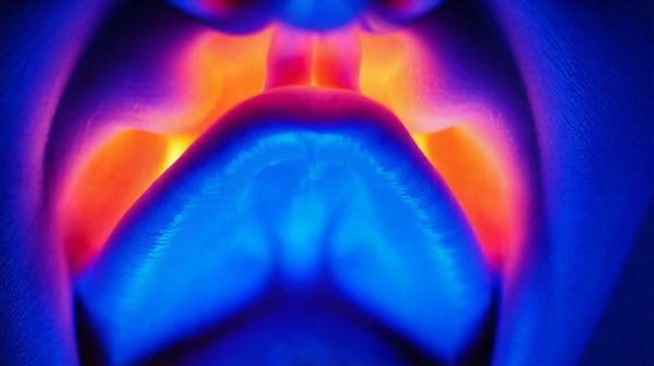 Top 5 indices qui révèlent un faux chant chez vous